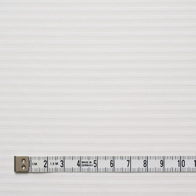 コットン×ボーダー(オフホワイト)×ボイルジャガード イメージ4