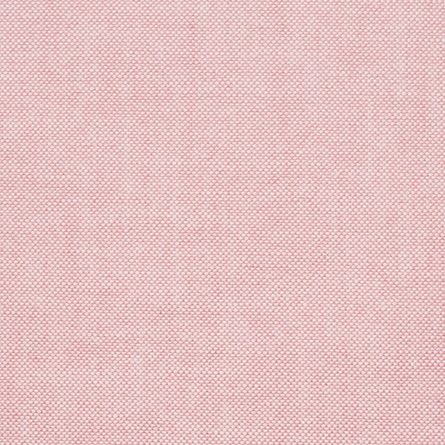 コットン×無地(ローズピンク)×オックスフォード・シャンブレー イメージ1