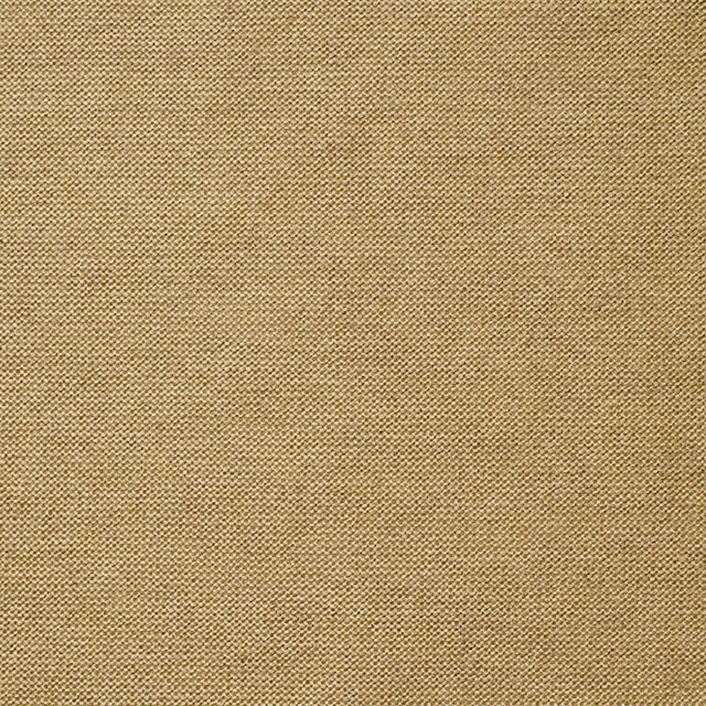 コットン&モダール×無地(ゴールド)×天竺ニット_全5色 イメージ1