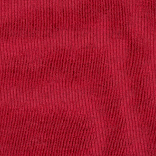コットン×無地(レッド)×フライスニット イメージ1