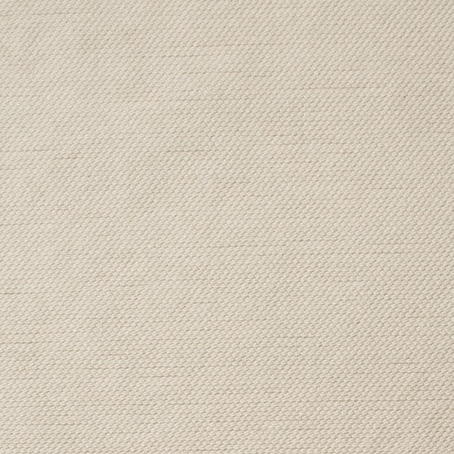 コットン×無地(アイボリー)×オックスフォード_全2色 イメージ1