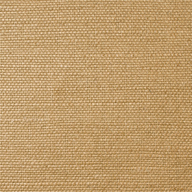 ラミー×無地(イエローゴールド)×8号帆布 イメージ1