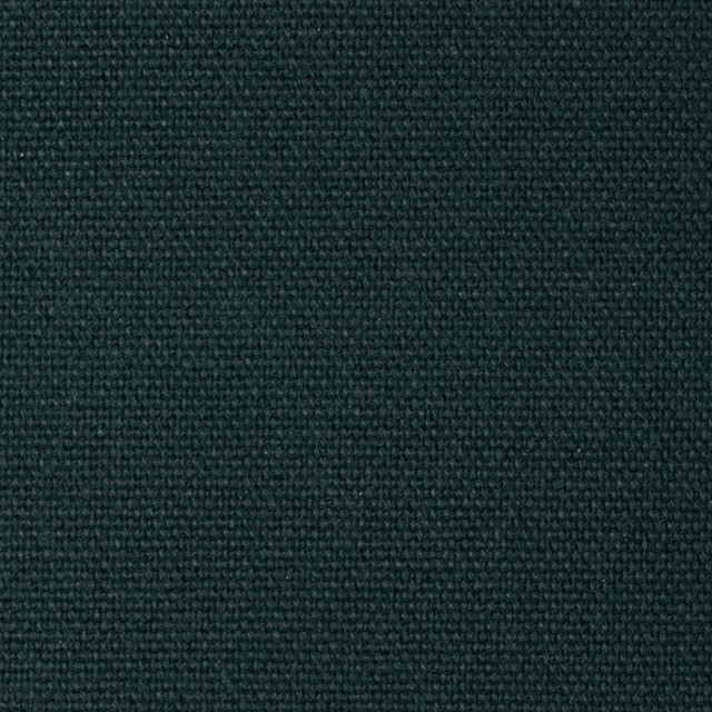 コットン×無地(ディープグリーン)×8号帆布_全3色 イメージ1