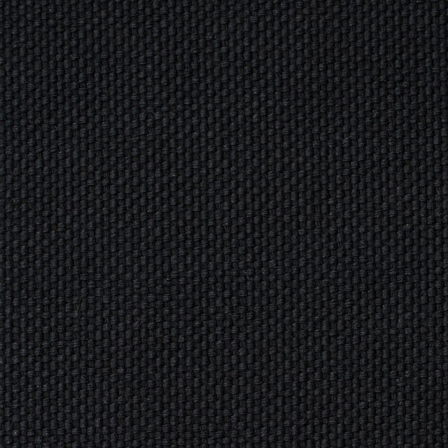 コットン×無地(ブラック)×厚オックスフォード イメージ1