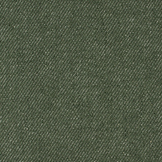 コットン×無地(フォレストグリーン)×デニム_全5色 イメージ1