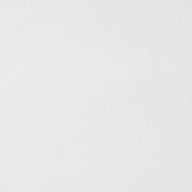 コットン×無地(オフホワイト)×ブロード イメージ1