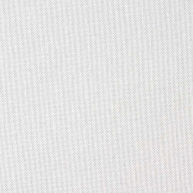 コットン×無地(オフホワイト)×オックスフォード イメージ1