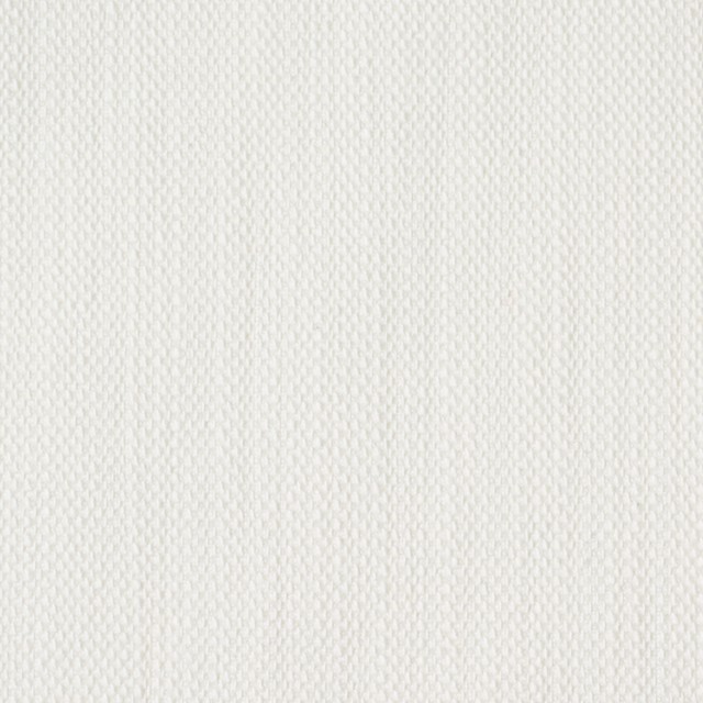 コットン×無地(オフホワイト)×デニム イメージ1