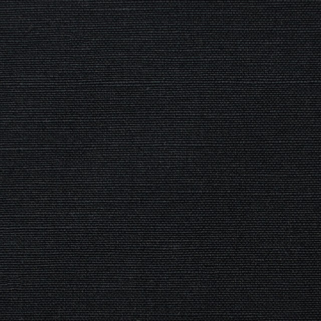 コットン&リネン×無地(ブラック)×キャンバス イメージ1