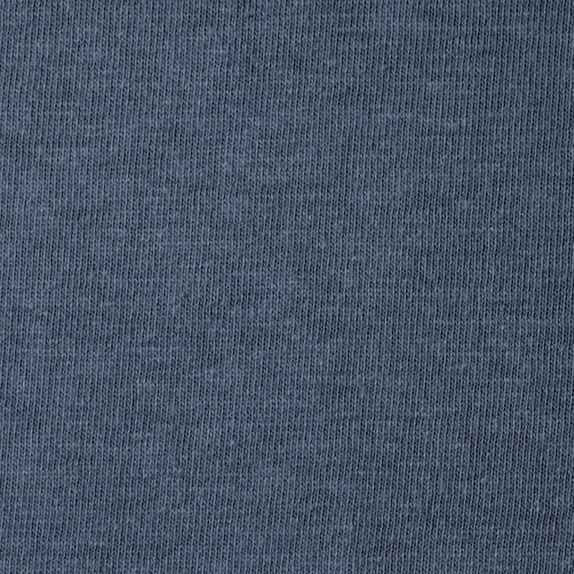 コットン×無地(ブルーグレー)×天竺ニット イメージ1