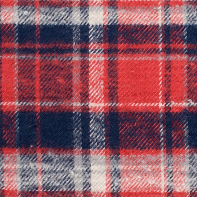 コットン×チェック(トリコロール)×ビエラ イメージ1