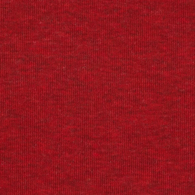 コットン×無地(アップル)×フライスニット イメージ1