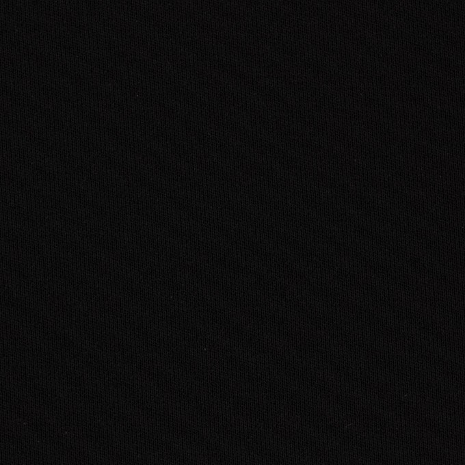 ポリエステル×無地(ブラック)×かわり織 イメージ1