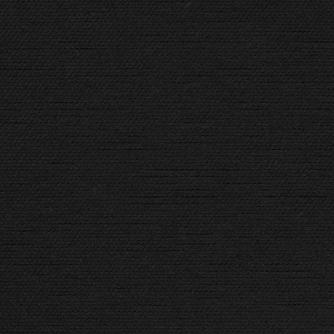 コットン×無地(ブラック)×厚オックスフォード イメージ1