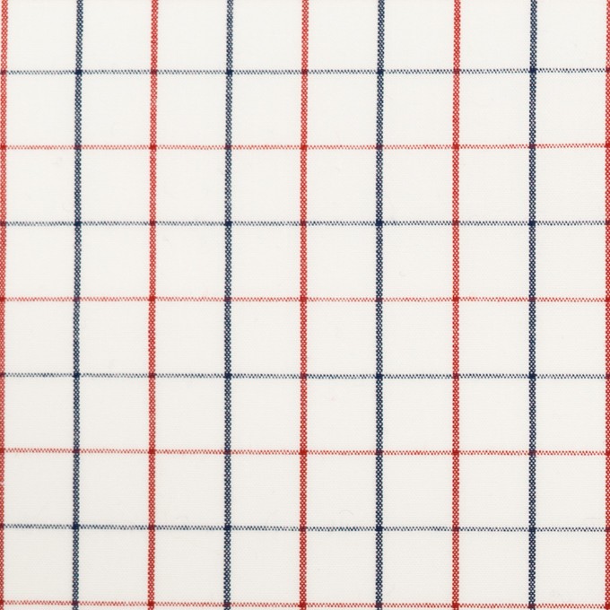 コットン×チェック(トリコロール)×ブロード イメージ1