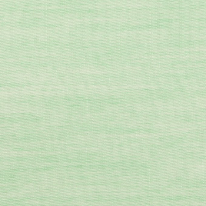 コットン&レーヨン×無地(グリーン)×ボイル イメージ1