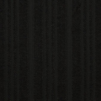 コットン×ストライプ(ブラック)×ボイルジャガード