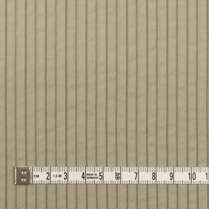 コットン&ナイロン混×ストライプ(アイビーグリーン)×タテタック イメージ4