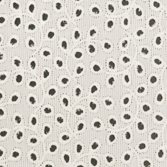コットン×リーフ(オフホワイト)×ピケ刺繍 イメージ1