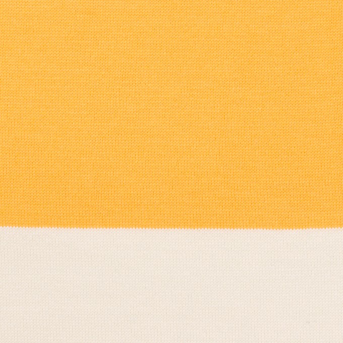 コットン×ボーダー(サンフラワー)×天竺ニット_全7色 イメージ1
