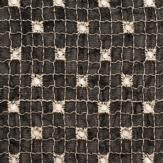 ポリエステル×チェック(ブラック&エクリュ)×ジョーゼット刺繍_全3色 イメージ1