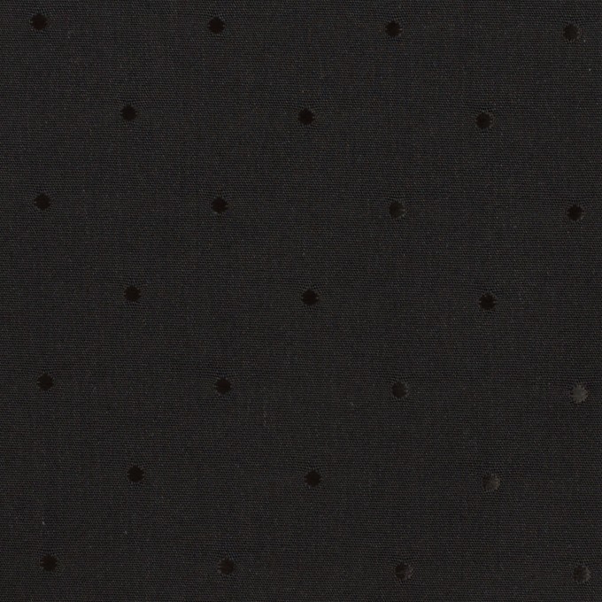 コットン＆リヨセル×ドット(ブラック)×ローンジャガード イメージ1