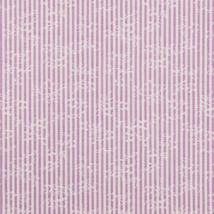 コットン×ストライプ(ラベンダー)×ブロードジャガード_全2色 イメージ1