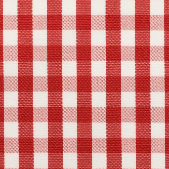 コットン×チェック(レッド)×ブロード イメージ1