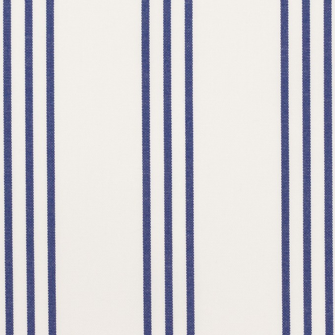 コットン×ストライプ(ブルー)×ブロード イメージ1