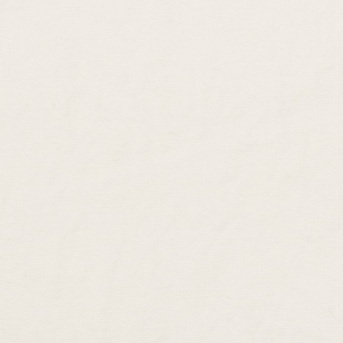 コットン×無地(オフホワイト)×キャンバス・ワッシャー イメージ1