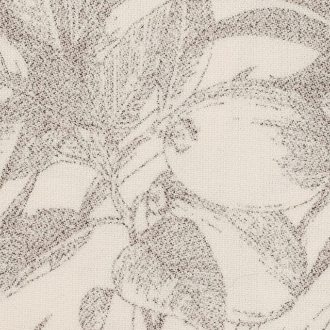 コットン＆ポリウレタン×ボタニカル(バニラ＆モカ)×キャンバス・ストレッチ イメージ1