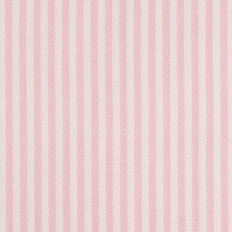 コットン×ストライプ(ピンク)×オックスフォード