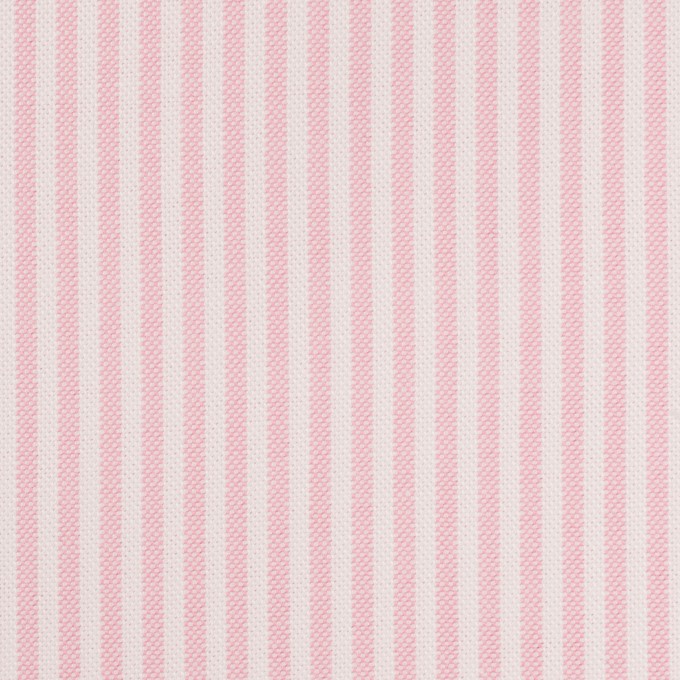 コットン×ストライプ(ピンク)×オックスフォード イメージ1