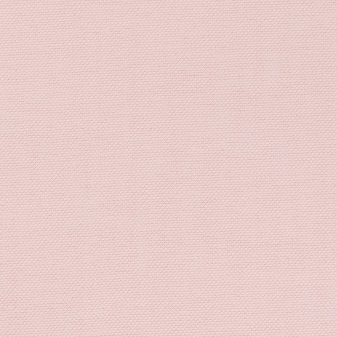 コットン×無地(ペールピンク)×オックスフォード イメージ1