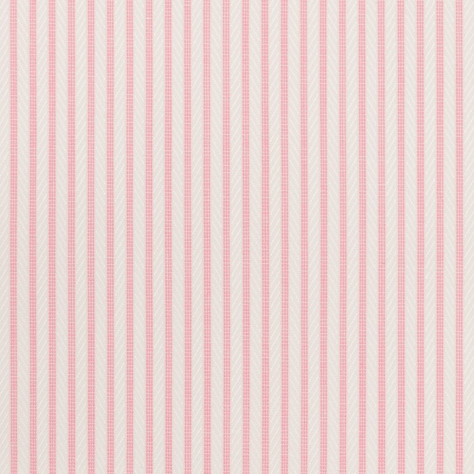 コットン×ストライプ(ピンク)×ドビー_全2色 イメージ1